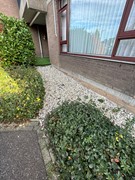 Ceresstraat 345003.JPG